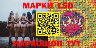 индика Балашиха