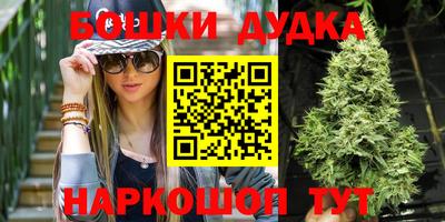 индика Балашиха